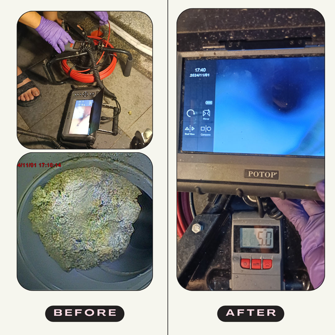 台中內視鏡管道檢查